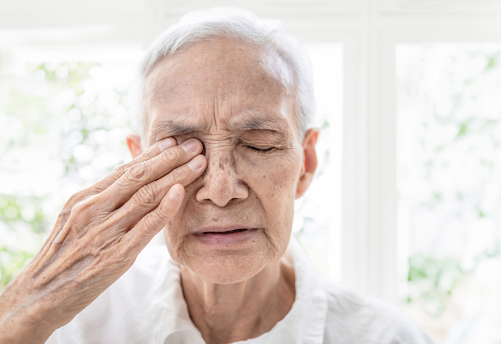Makula, Mengenal Lebih Dalam Perannya dalam Proses Penglihatan